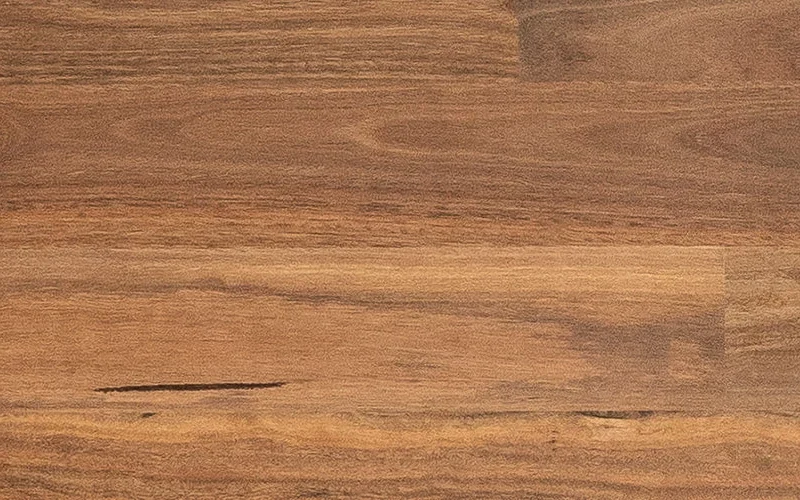 Spotted Gum — Australian Heritage