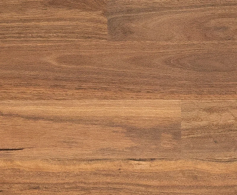 Spotted Gum — Australian Heritage