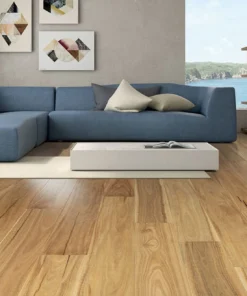 Spotted Gum — Australian Heritage