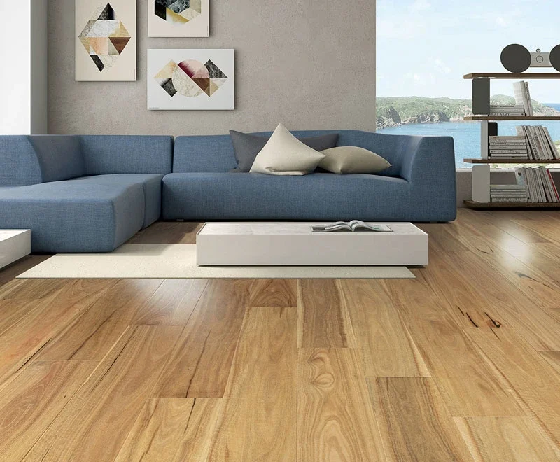 Spotted Gum — Australian Heritage