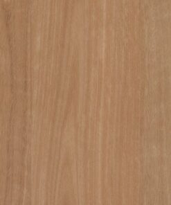 Banksia Blackbutt