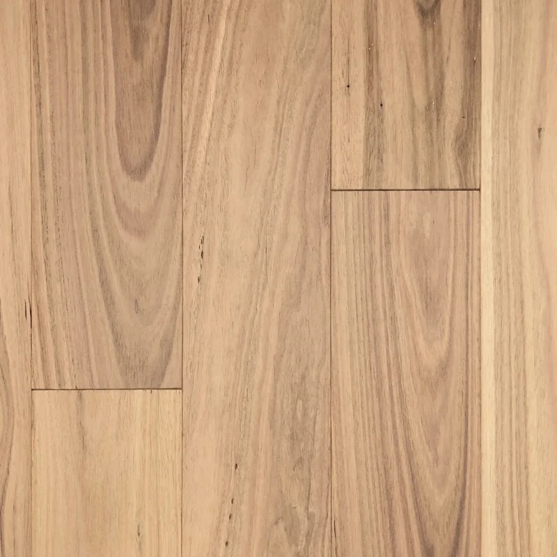 Blackbutt – Invisible UV Lacquer — Burleigh Floors