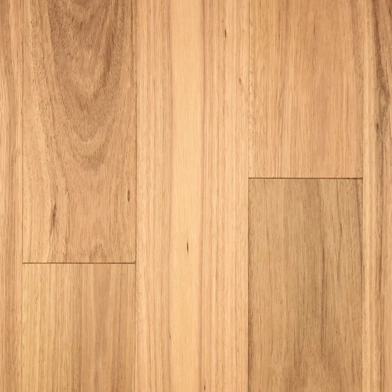 Blackbutt – UV Hardwax Oil — Burleigh Floors