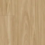 Blackbutt
