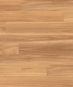 Blackbutt — Australian Native Optimise