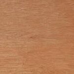 Blackbutt