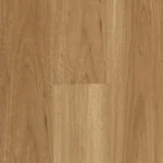 Blackbutt