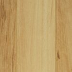 Blackbutt