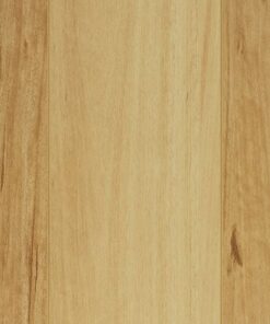 Blackbutt