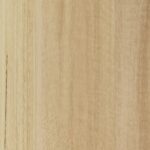 Blackbutt