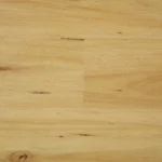 Blackbutt