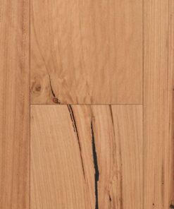 Blackbutt
