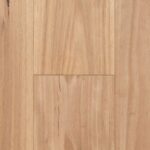 Blackbutt