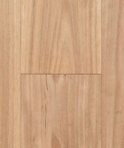 Blackbutt