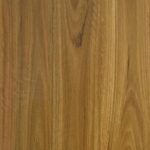 Bushland Spotted Gum