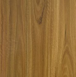 Bushland Spotted Gum