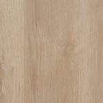 Cedar
