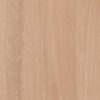 Chai Blackbutt