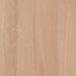 Chai Blackbutt