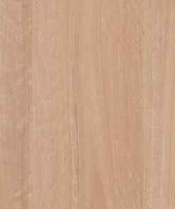Chai Blackbutt
