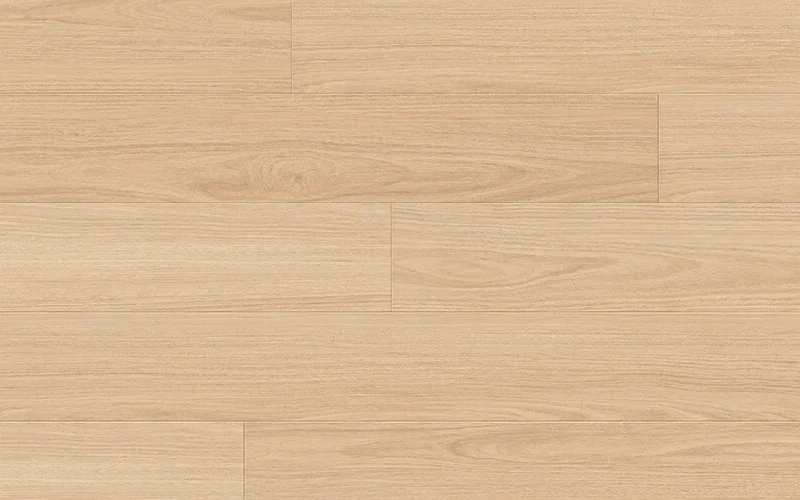Inland Blackbutt — Classic Magnitude
