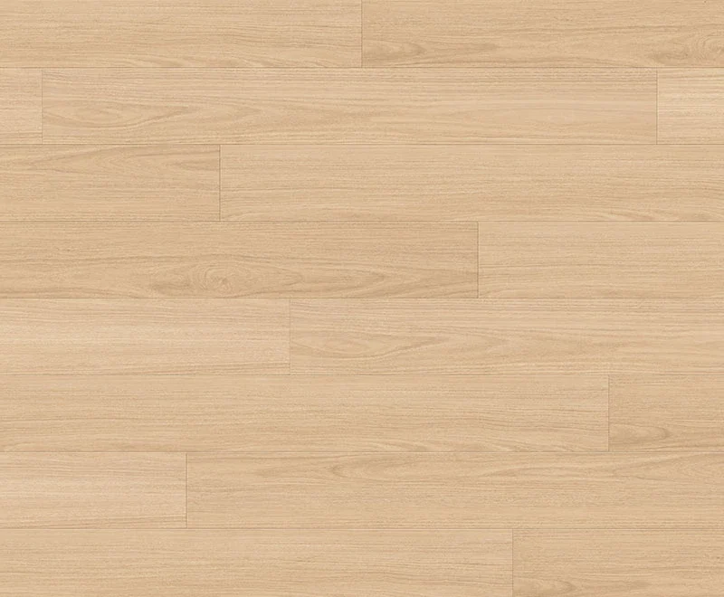 Inland Blackbutt — Classic Magnitude