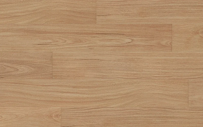 Norseman Blackbutt — Classic Magnitude