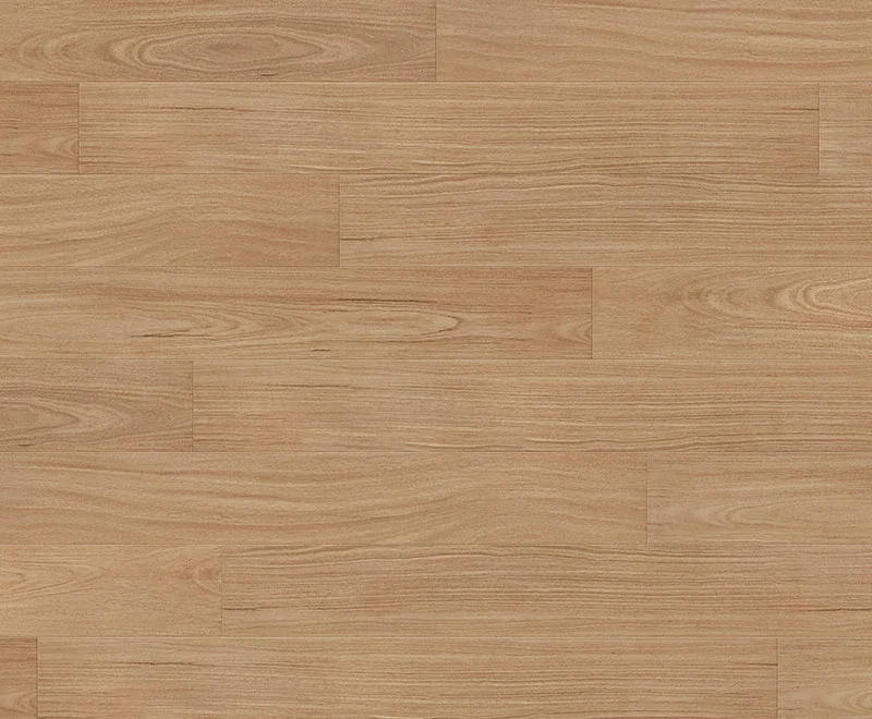 Norseman Blackbutt — Classic Magnitude