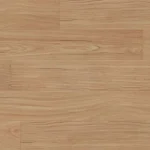 Classic Profuse Colour Camellia Blackbutt