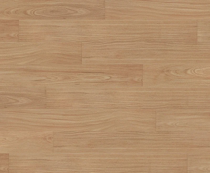 Camellia Blackbutt — Classic Profuse