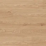 Classic Profuse Colour Jacaranda