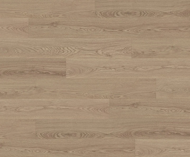 Lomandra — Classic Profuse