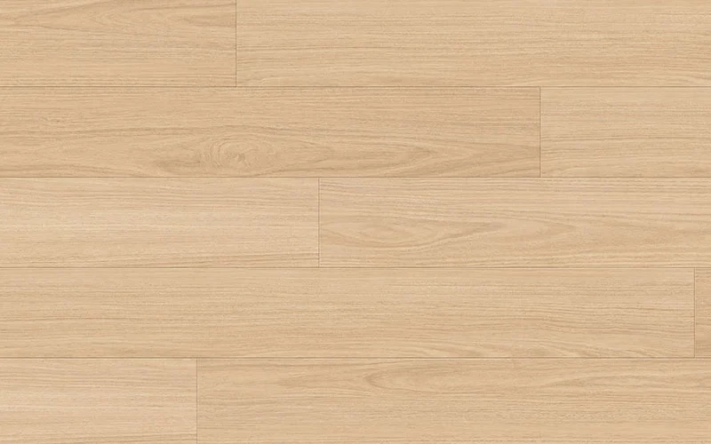 Southern Blackbutt — Classic Profuse