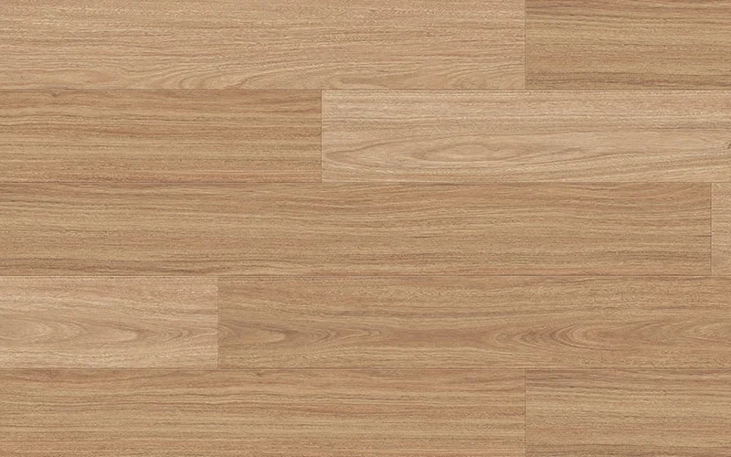 Southern Spotted Gum — Classic Profuse