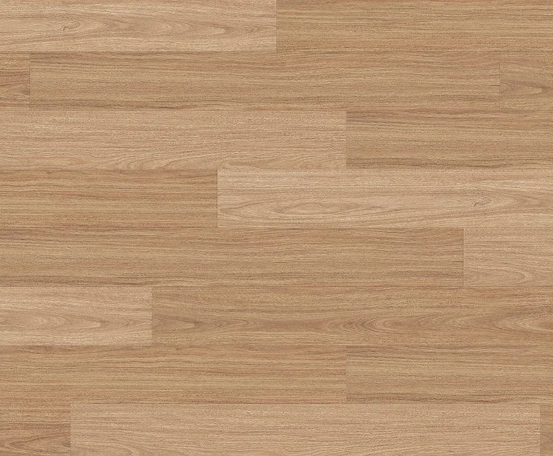 Southern Spotted Gum — Classic Profuse