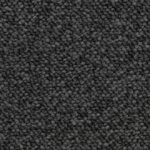Coal