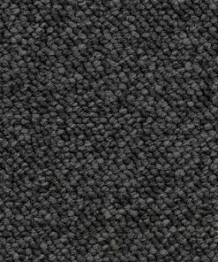 Coal