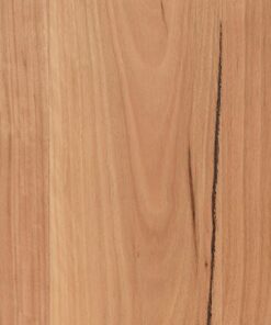 Coastal Blackbutt