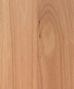 Coastal Blackbutt