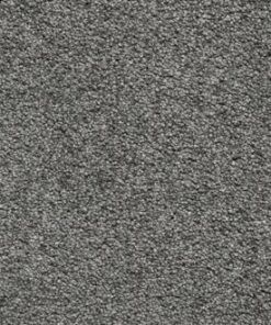 Congo Grey