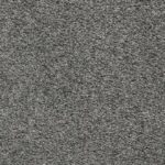 Congo Grey