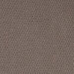 Desert Brown