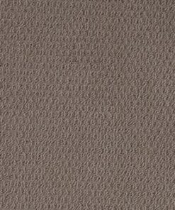 Desert Brown