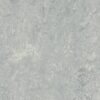 Dove Grey