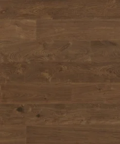 Sahara — Earthlandia