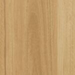 East Coast Blackbutt