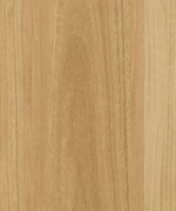 East Coast Blackbutt
