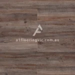 ECL01 Himalayan Oak