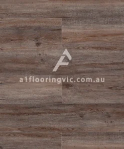 ECL01 Himalayan Oak
