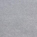 Elanus Grey